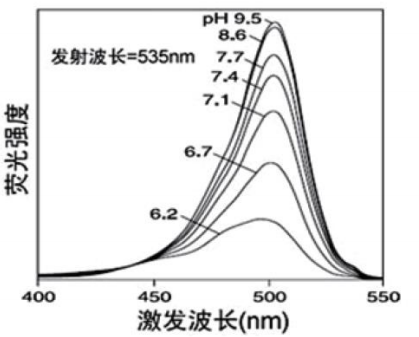 5f1f7d39772c9.png image.png