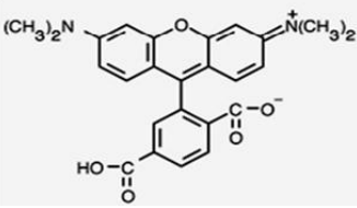 5f30b1c01c224.png image.png