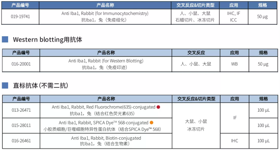 6013be87303c0.png image.png