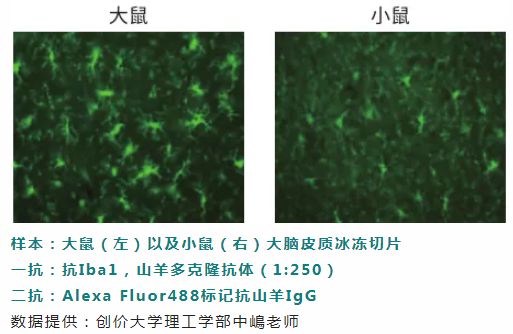 6013bef897f5c.png image.png