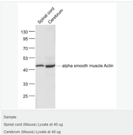 6052aeb467073.png image.png