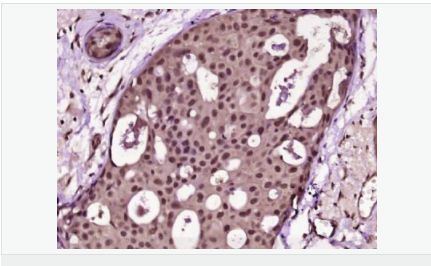 6052b08e96d3b.png image.png