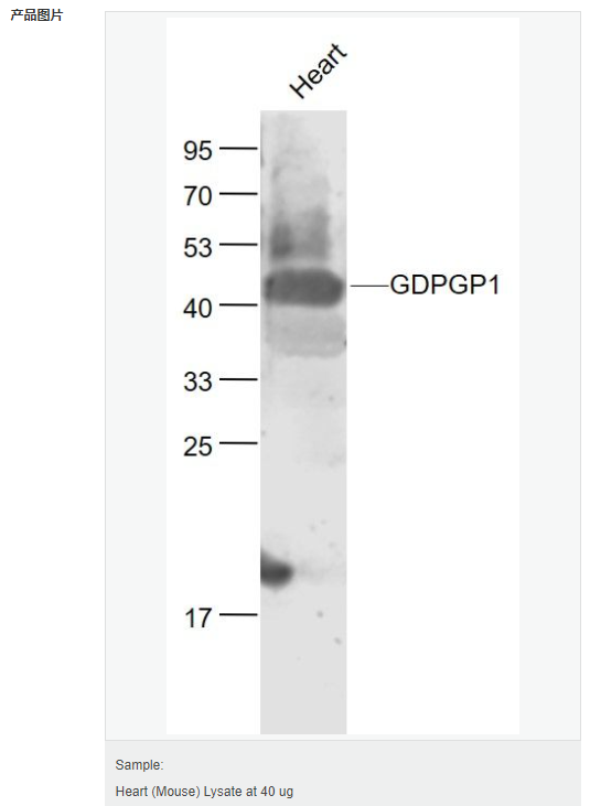 6052bec7a6fc6.png image.png