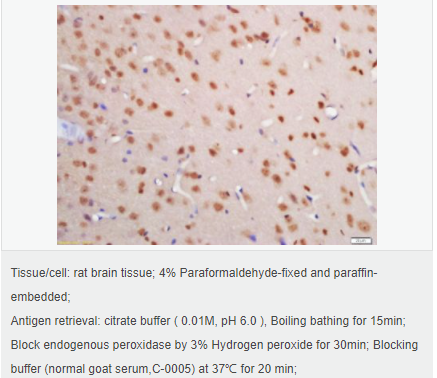 60544cd4562b5.png image.png