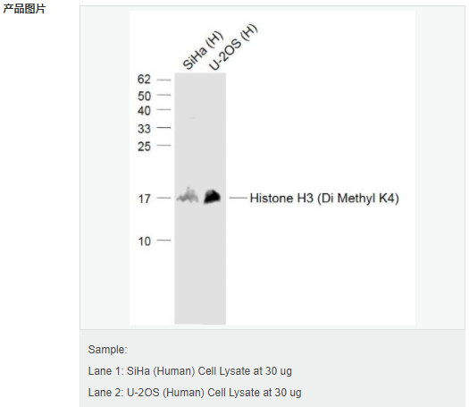 60544d4cc4975.png image.png