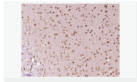 6057fd3816e49.png image.png