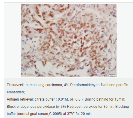 605829c70ced7.png image.png