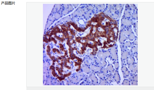 60583068cb6ec.png image.png