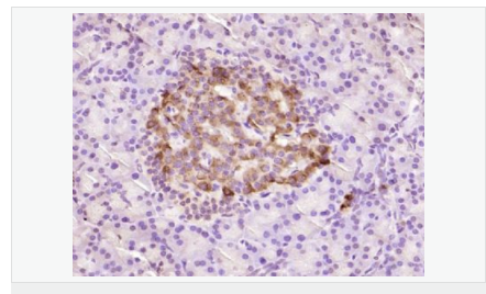 6058307707079.png image.png