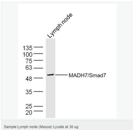 605841a2edfc0.png image.png