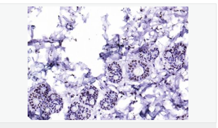 6058502c8bc8c.png image.png