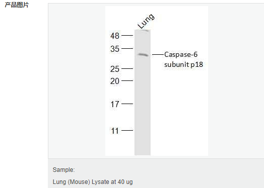 605949400eb7b.png image.png