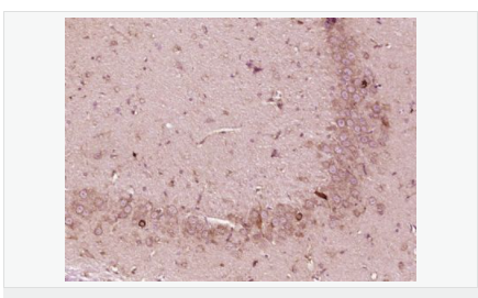 60594ab17cfeb.png image.png