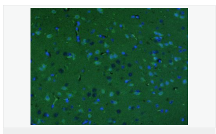 6059537857f2a.png image.png