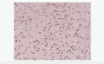 605956a80ab91.png image.png