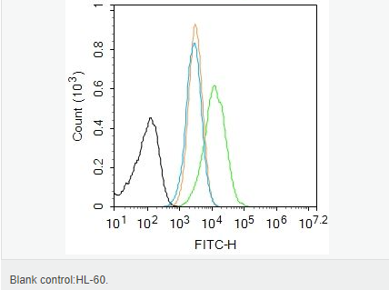 6059580c7abfd.png image.png