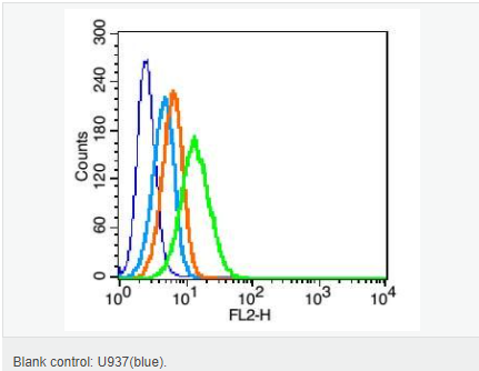 60595df3babb9.png image.png