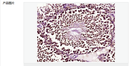 60595e6583dd1.png image.png