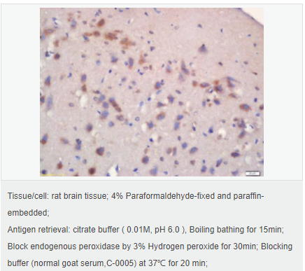 6059930ca3b08.png image.png