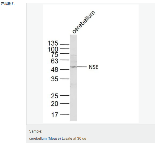 60599735c7959.png image.png