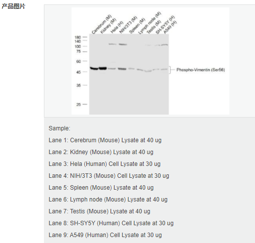 605c3ff3879e8.png image.png