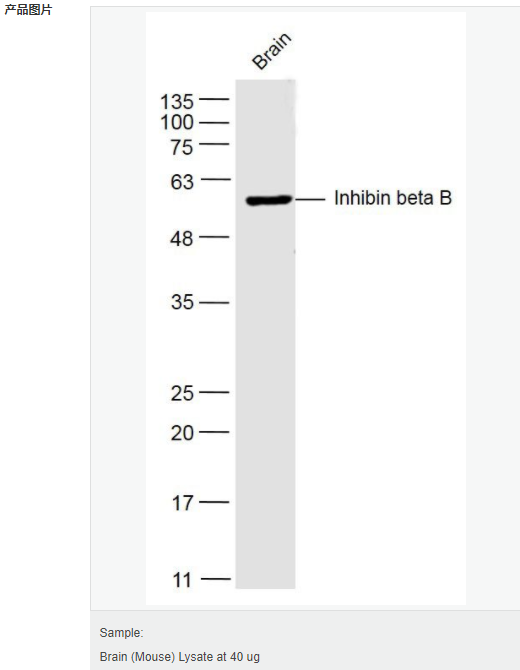 605c4060cede5.png image.png