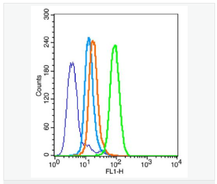 605da1c0d4e7e.png image.png