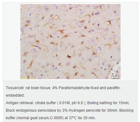 60612c22921af.png image.png