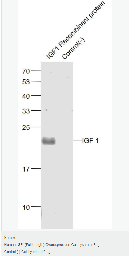 606147ce12a22.png image.png