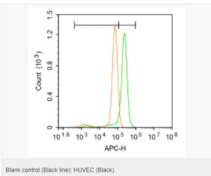 60641fab042a3.png image.png