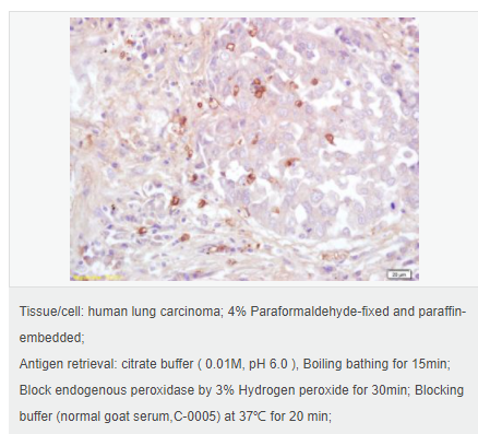 606425370da94.png image.png