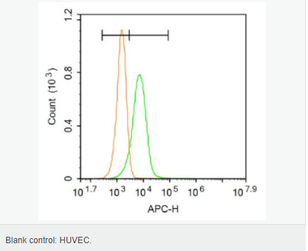 6064254f41162.png image.png