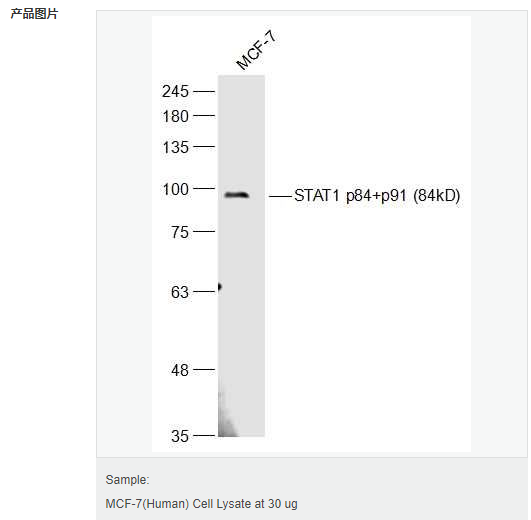 6066c6f10047e.png image.png