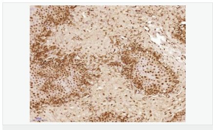 606bc7dac1dd3.png image.png