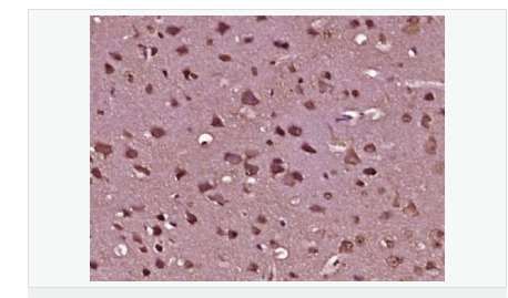 606bc84b68a63.png image.png