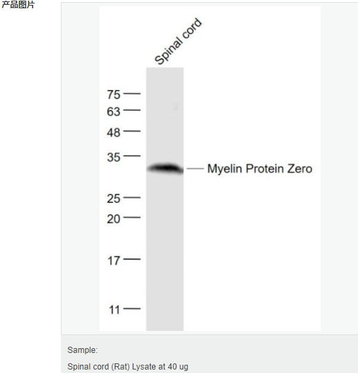 607647bb3d01a.png image.png