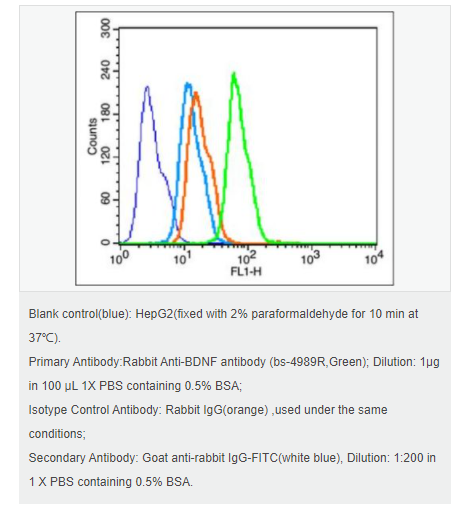 607648697b5fe.png image.png