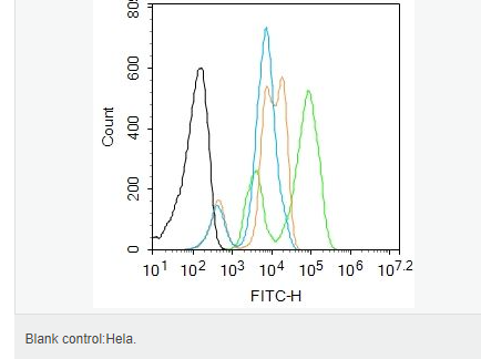 60765333a7bbd.png image.png