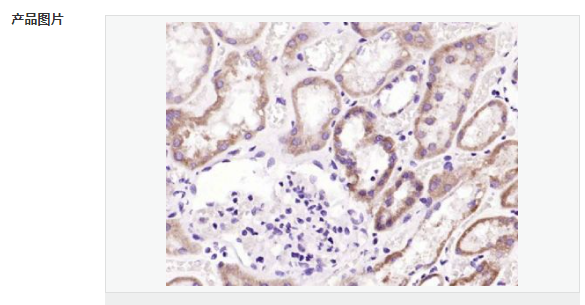 60768445c19d7.png image.png