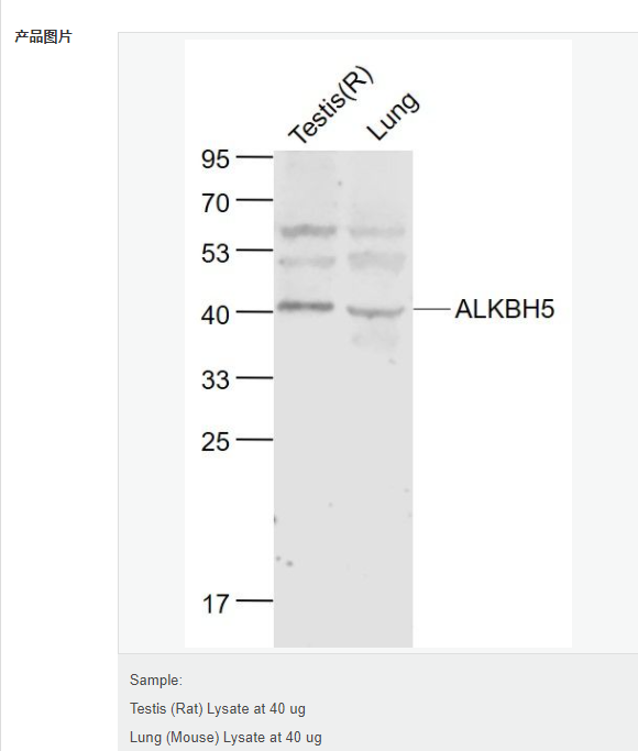 60768d27d5119.png image.png