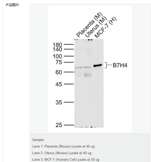 60769301cd58d.png image.png