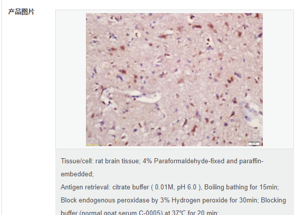 6077a340d3e30.png image.png