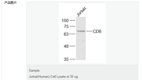 6078ecb138f10.png image.png