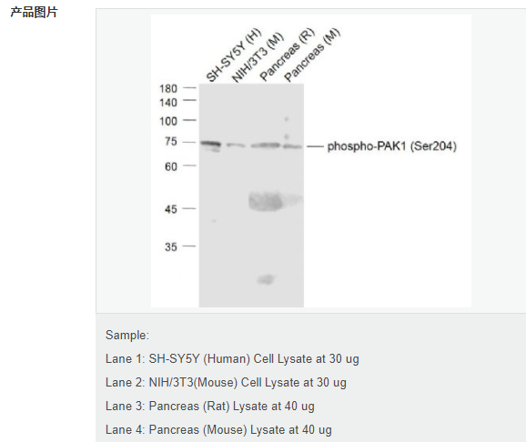 6078ef623ac04.png image.png