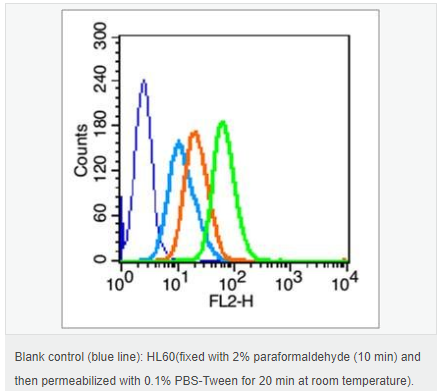 607946d7366eb.png image.png