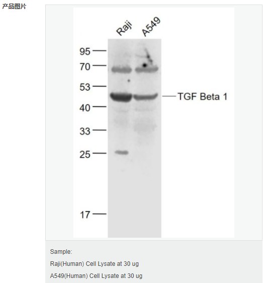 60794cd1de19b.png image.png