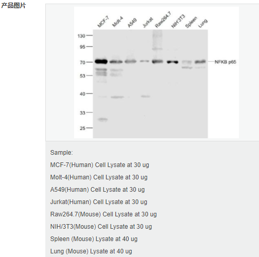 607d2c229c2e9.png image.png