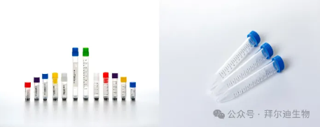 66cc146e630e3.png image.png