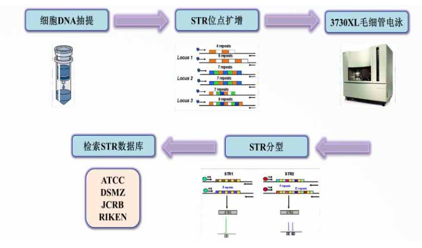 68ea0d16ce339.png image.png